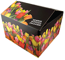 https://biomatrix.hiredeveloper.today/wp-content/uploads/2025/09/product4.png